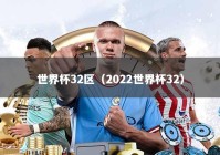 世界杯32区（2022世界杯32）