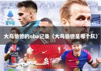 大鸟伯德的nba记录（大鸟伯德是哪个队）